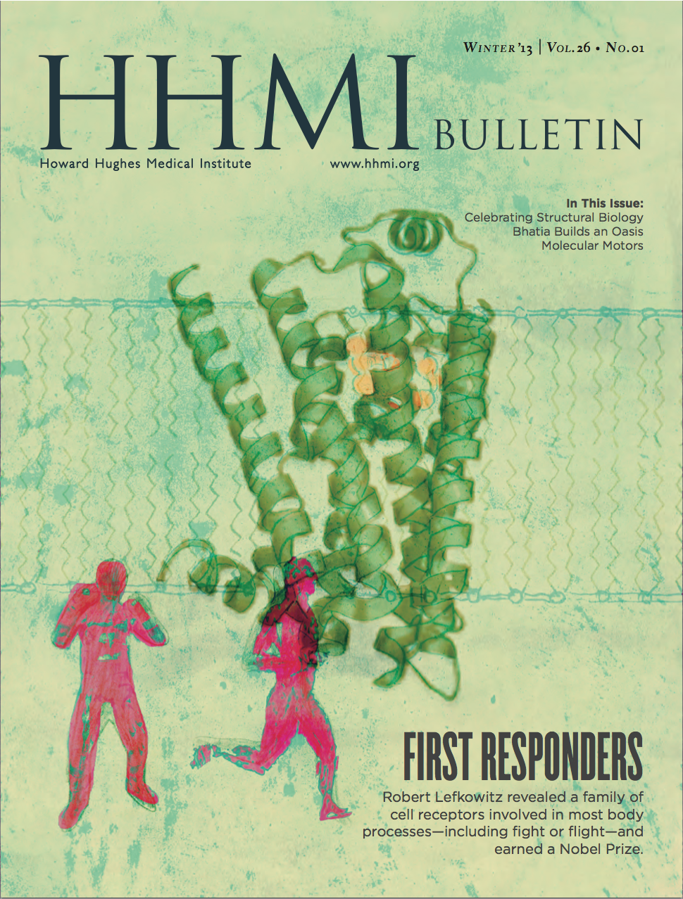 winter 2013 HHMI magazine
