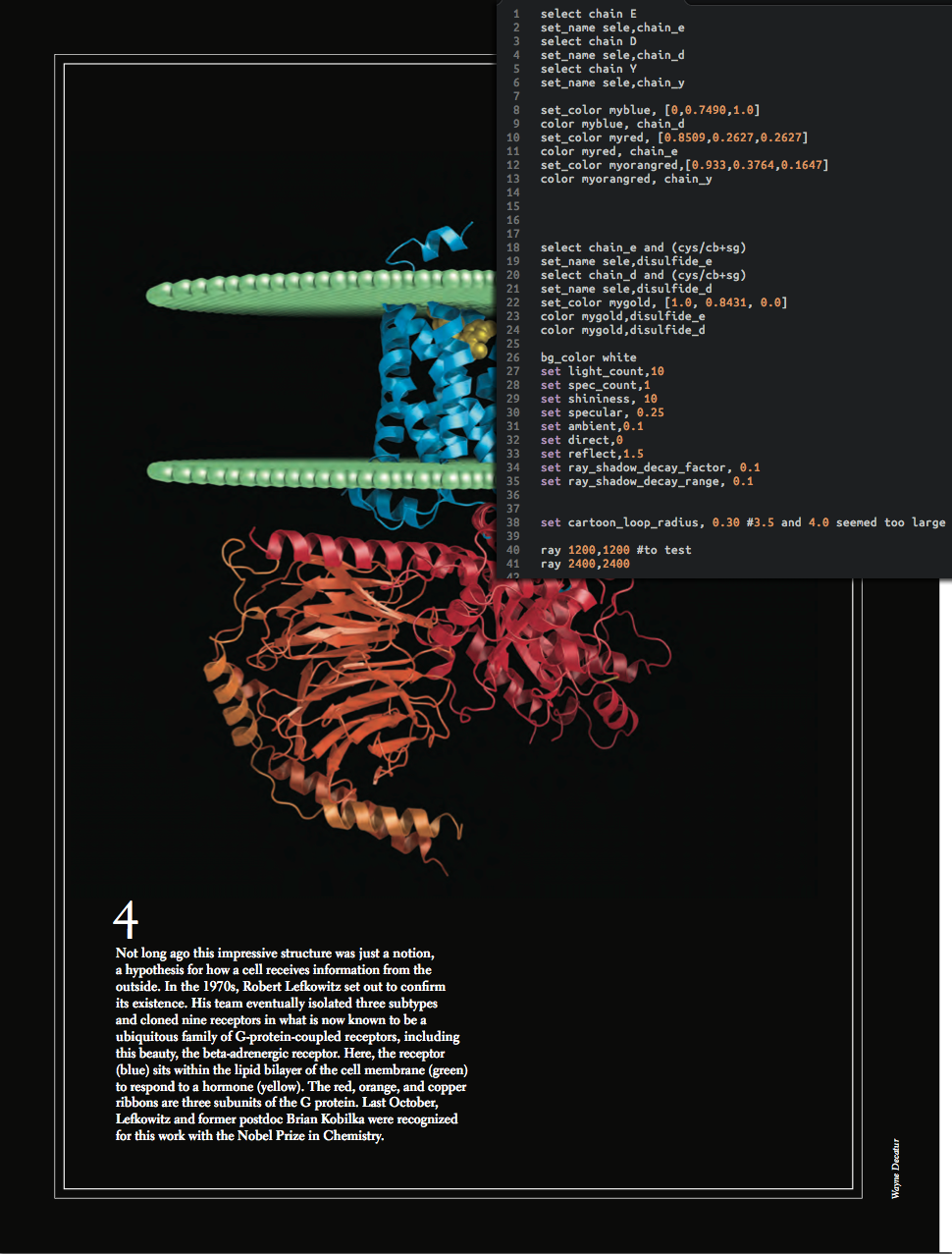 my image with code example